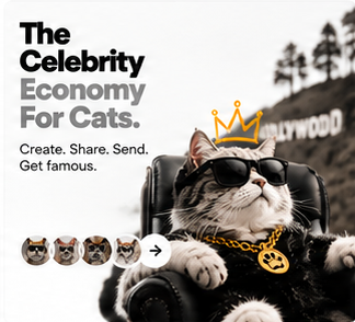 The Celebrity Economy For Cats. A cat lounging in a chair near Hollywood.